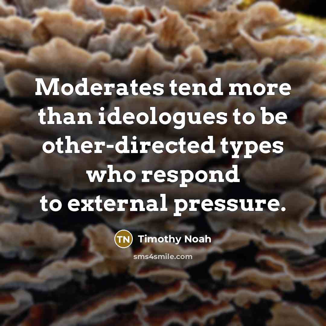 “Moderates tend more than ideologues to be other-directed types who…” quote by Timothy Noah