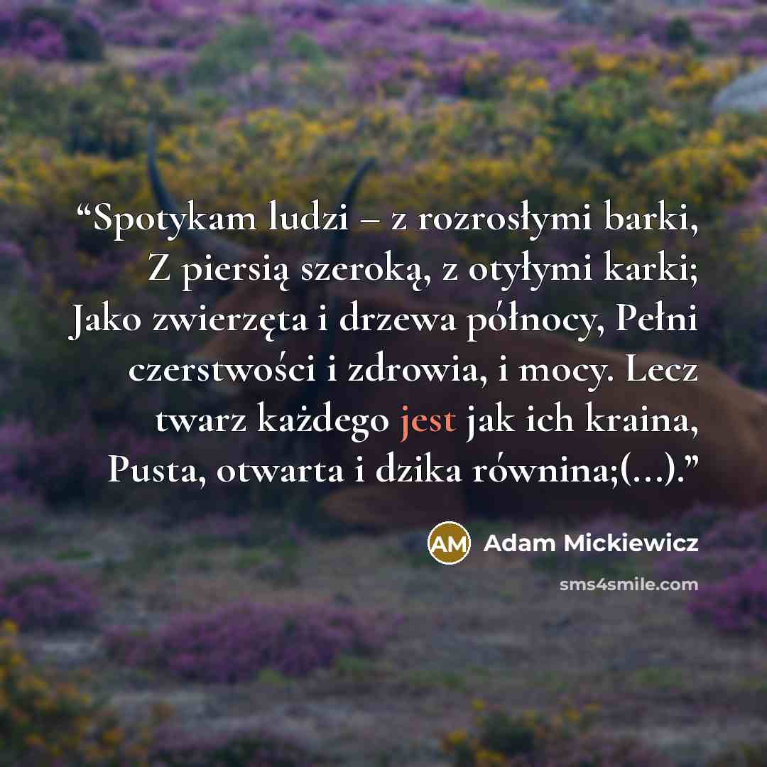 “Spotykam ludzi – z rozrosłymi barki, Z piersią szeroką, z otyłymi karki; Jako zwierzęta i drzewa północy, Pełni czerstwości i zdrowia, i mocy. Lecz twarz każdego jest jak ich kraina, Pusta, otwarta i dzika równina;(...).” quote by Adam Mickiewicz