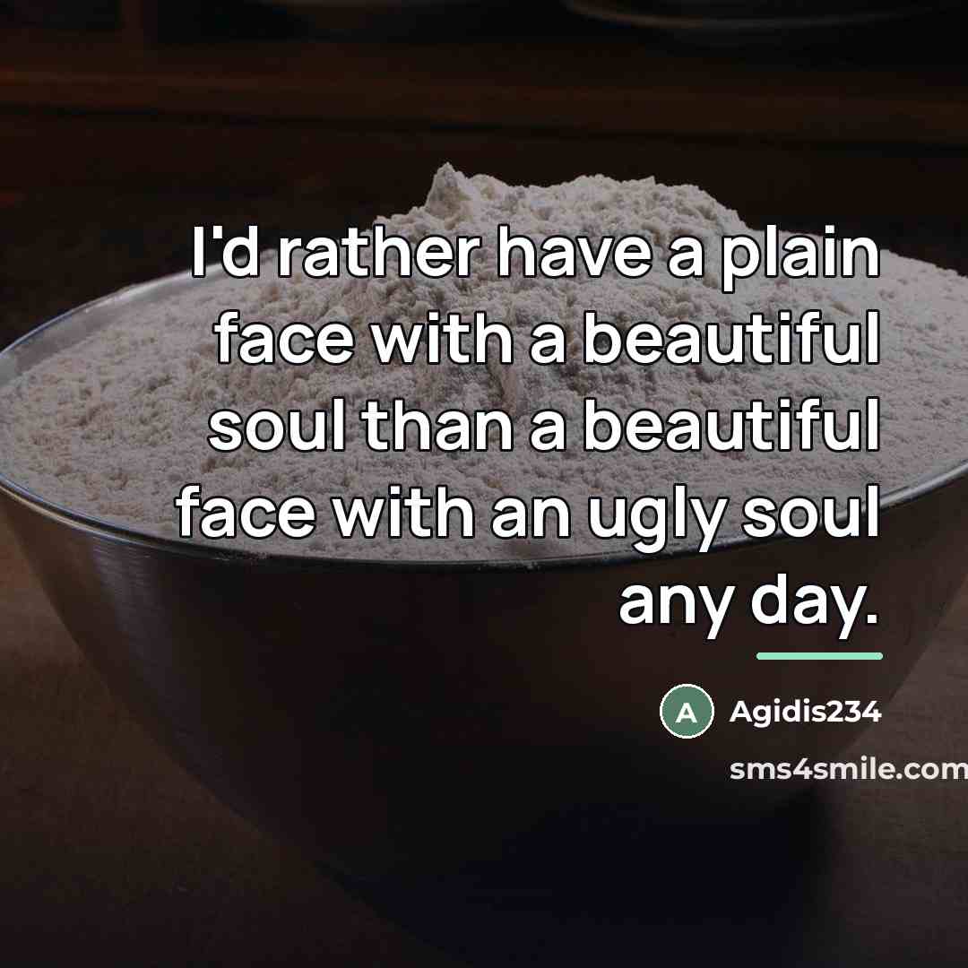 “I'd rather have a plain face with a beautiful soul…” quote by Agidis234