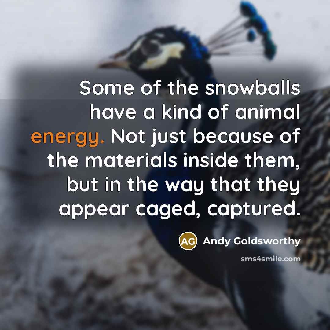 “Some of the snowballs have a kind of animal energy.…” quote by Andy Goldsworthy