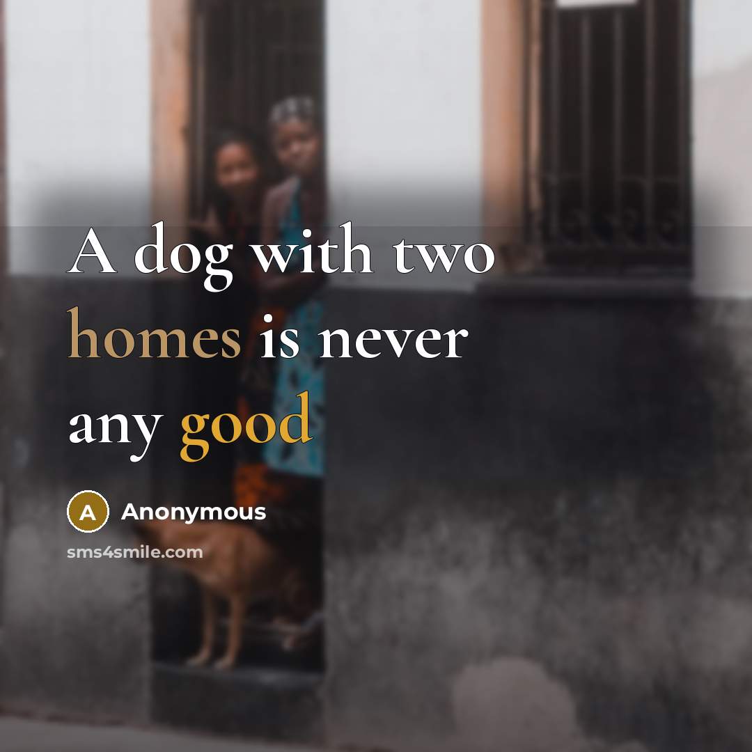 “A dog with two homes is never any good” quote by Anonymous