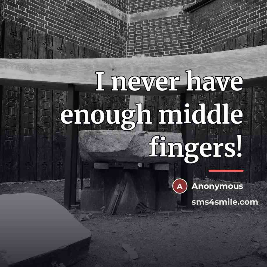 “I never have enough middle fingers!…” quote by Anonymous
