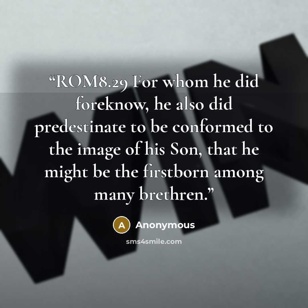 “ROM8.29 For whom he did foreknow, he also did predestinate to be conformed to the image of his Son, that he might be the firstborn among many brethren.” quote by Anonymous
