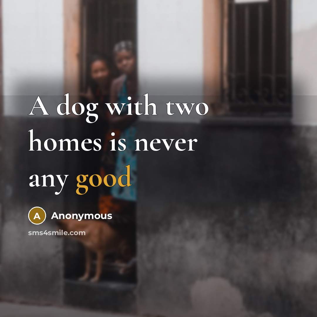 “A dog with two homes is never any good…” quote by Anonymous