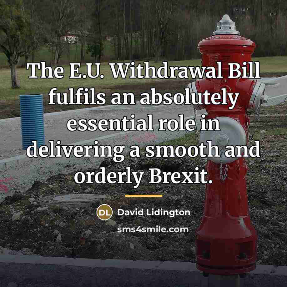“The E.U. Withdrawal Bill fulfils an absolutely essential role in…” quote by David Lidington