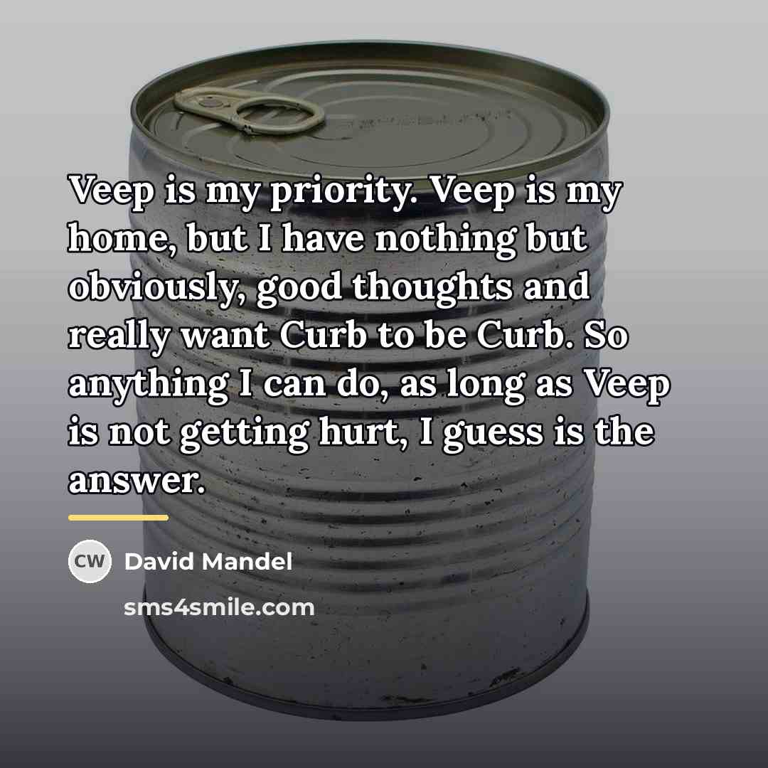 “Veep is my priority. Veep is my home, but I…” quote by David Mandel