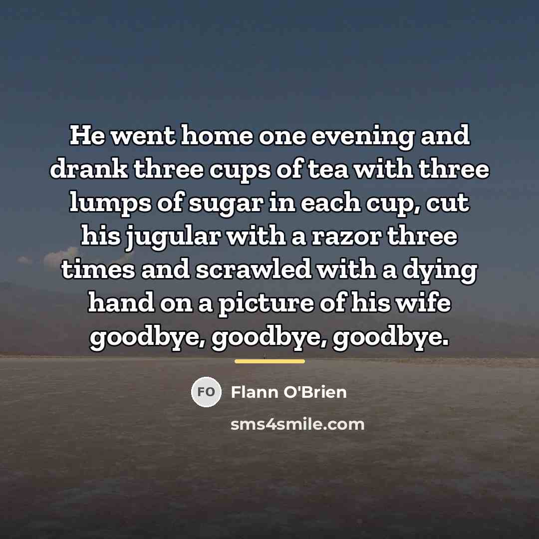 “He went home one evening and drank three cups of…” quote by Flann O'Brien