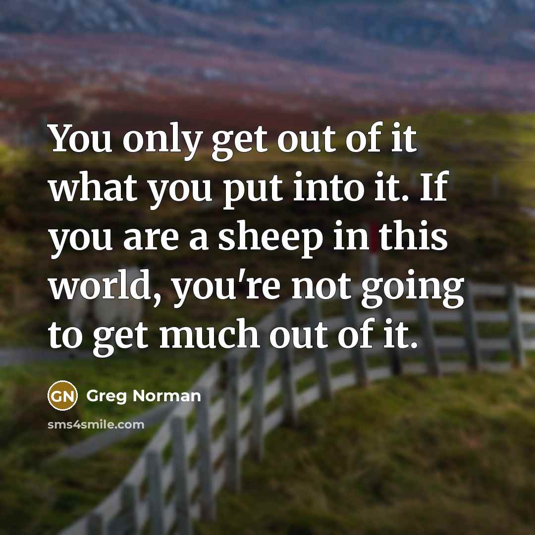 “You only get out of it what you put into…” quote by Greg Norman