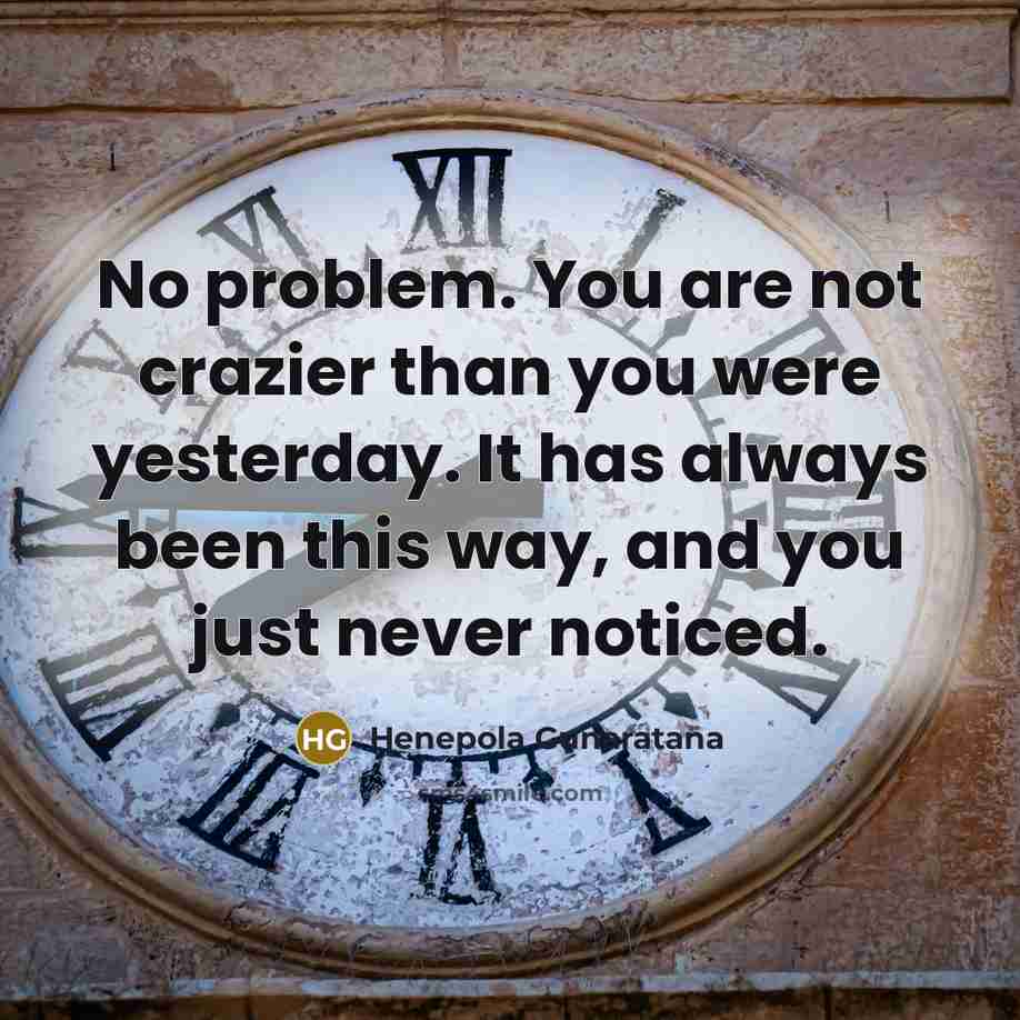 “No problem. You are not crazier than you were yesterday.…” quote by Henepola Gunaratana