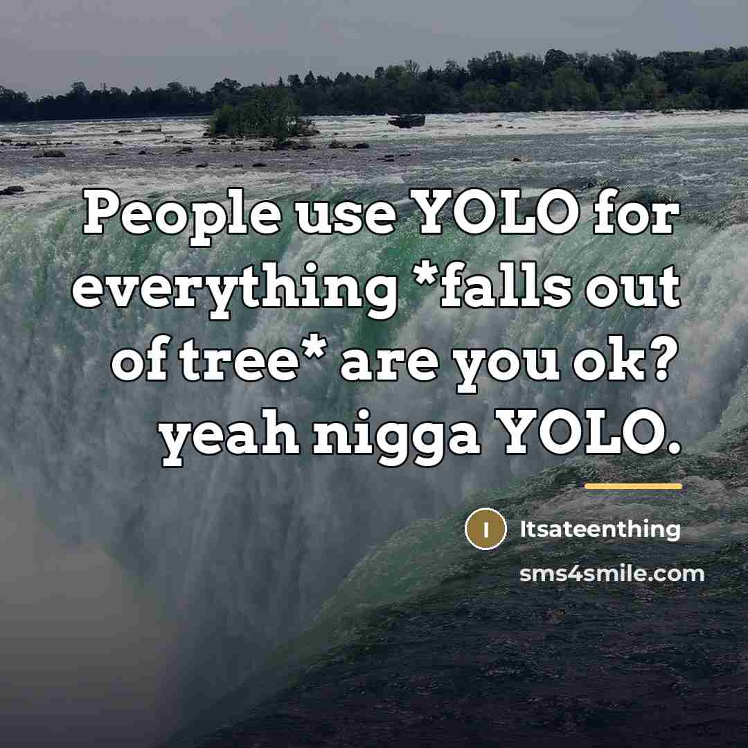 “People use YOLO for everything *falls out of tree* are…” quote by Itsateenthing