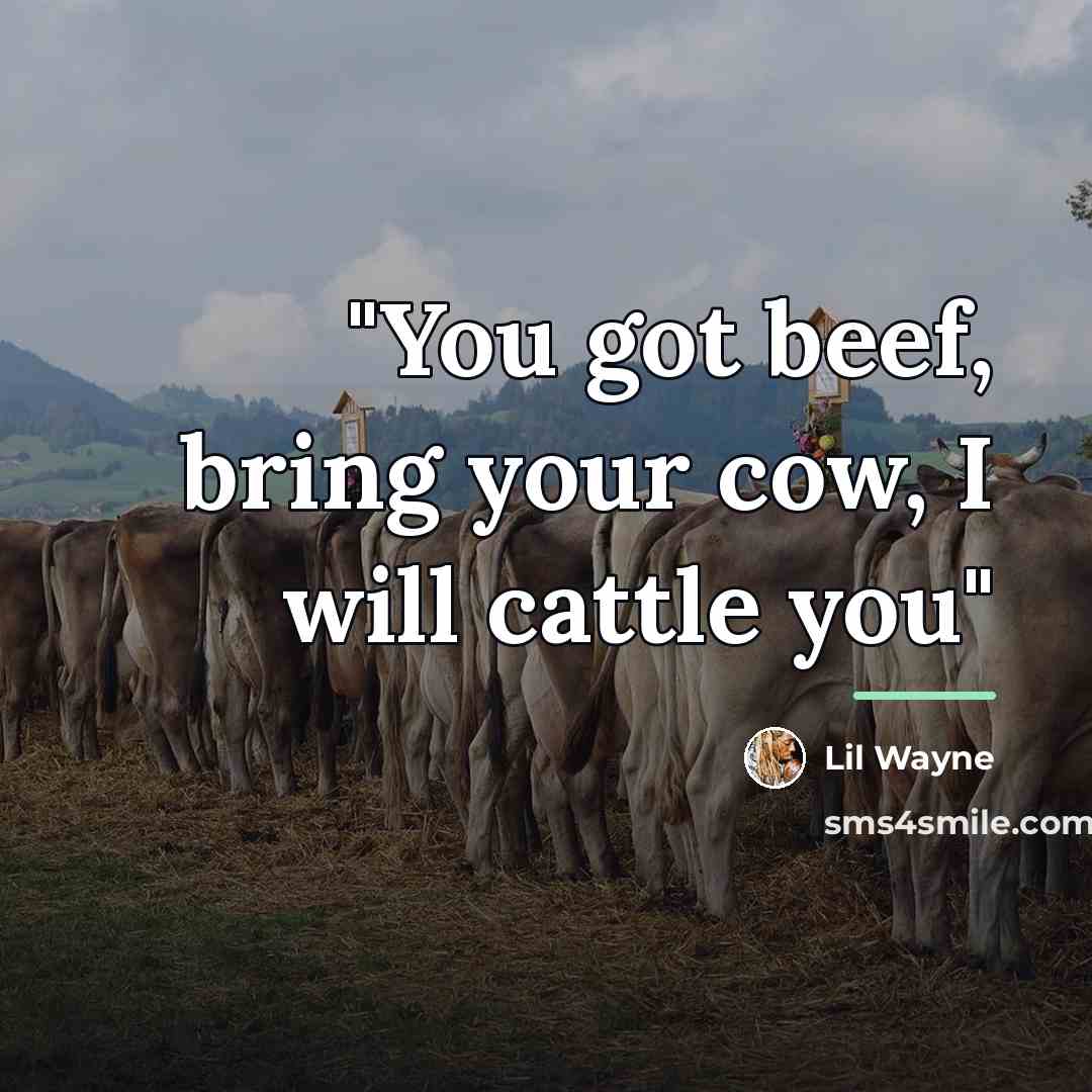 “"You got beef, bring your cow, I will cattle you"…” quote by Lil Wayne