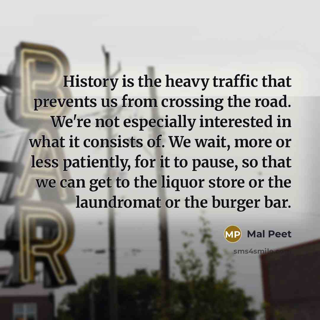 “History is the heavy traffic that prevents us from crossing…” quote by Mal Peet