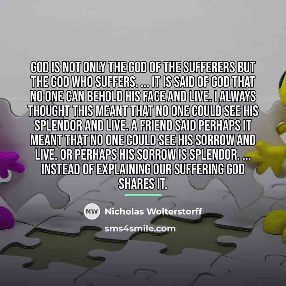 “God is not only the God of the sufferers but…” quote by Nicholas Wolterstorff