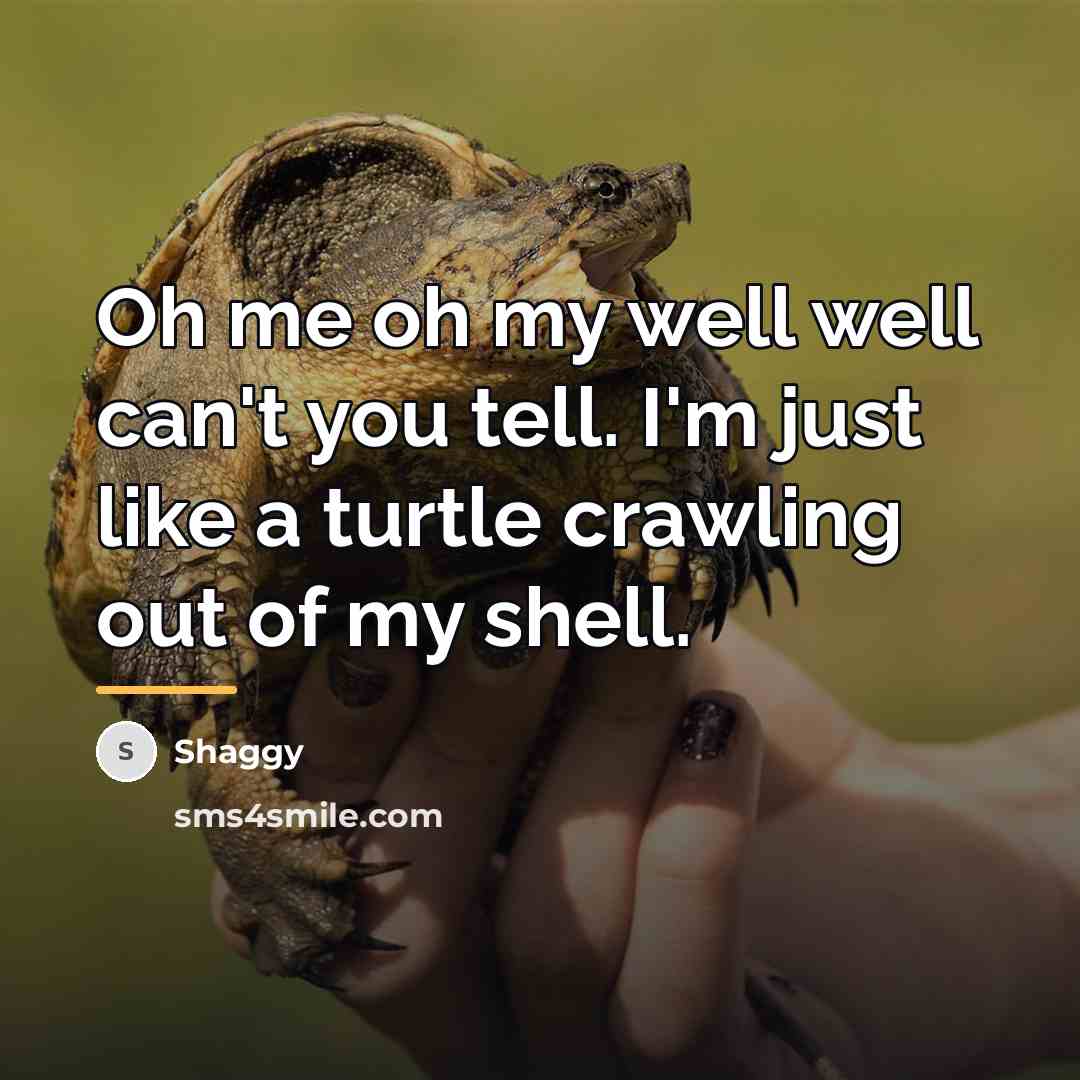 “Oh me oh my well well can't you tell. I'm…” quote by Shaggy