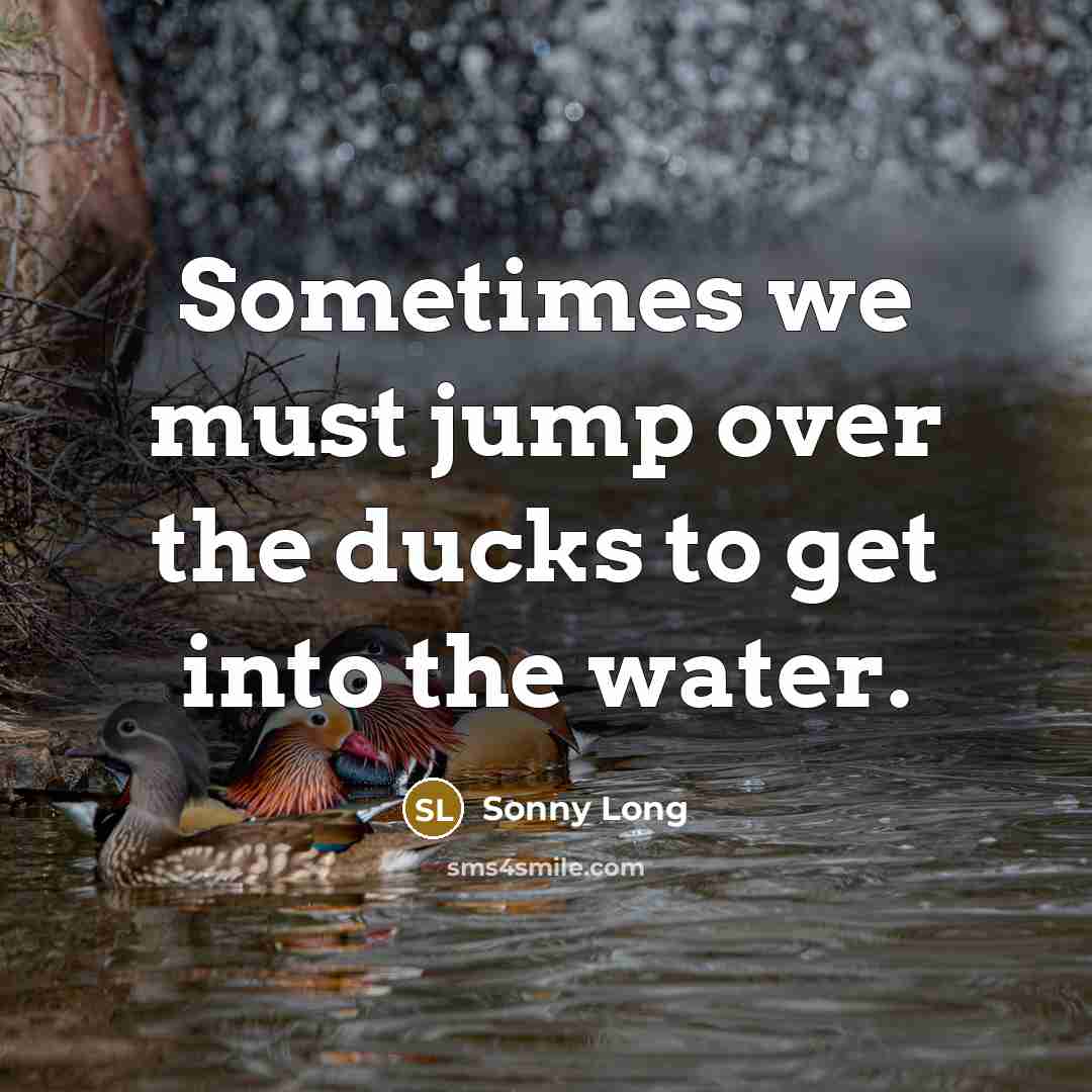 “Sometimes we must jump over the ducks to get into…” quote by Sonny Long