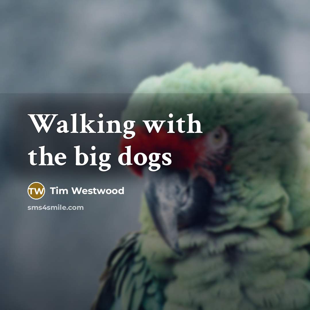 “Walking with the big dogs” quote by Tim Westwood