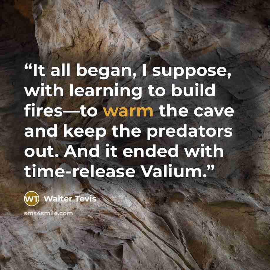 “It all began, I suppose, with learning to build fires—to warm the cave and keep the predators out. And it ended with time-release Valium.” quote by Walter Tevis