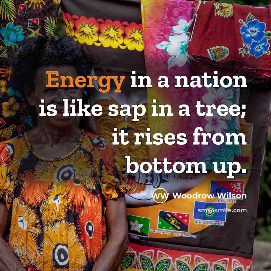 “Energy in a nation is like sap in a tree;…” quote by Woodrow Wilson