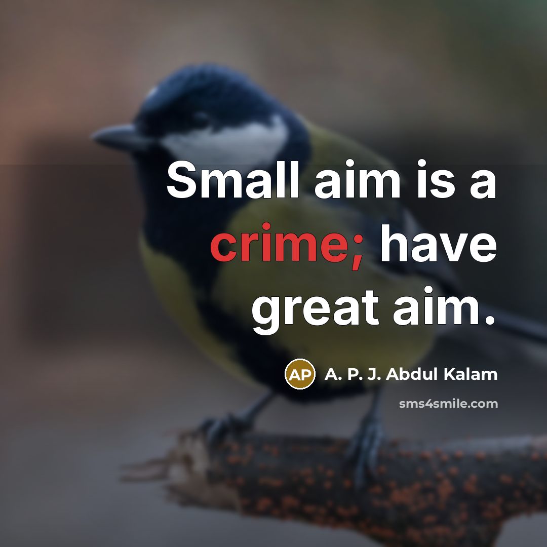 “Small aim is a crime; have great aim.…” quote by A. P. J. Abdul Kalam
