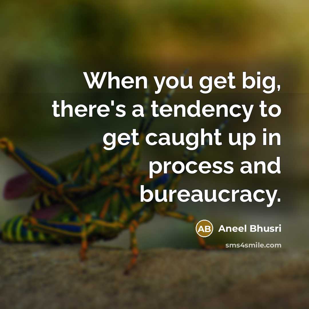 “When you get big, there's a tendency to get caught…” quote by Aneel Bhusri