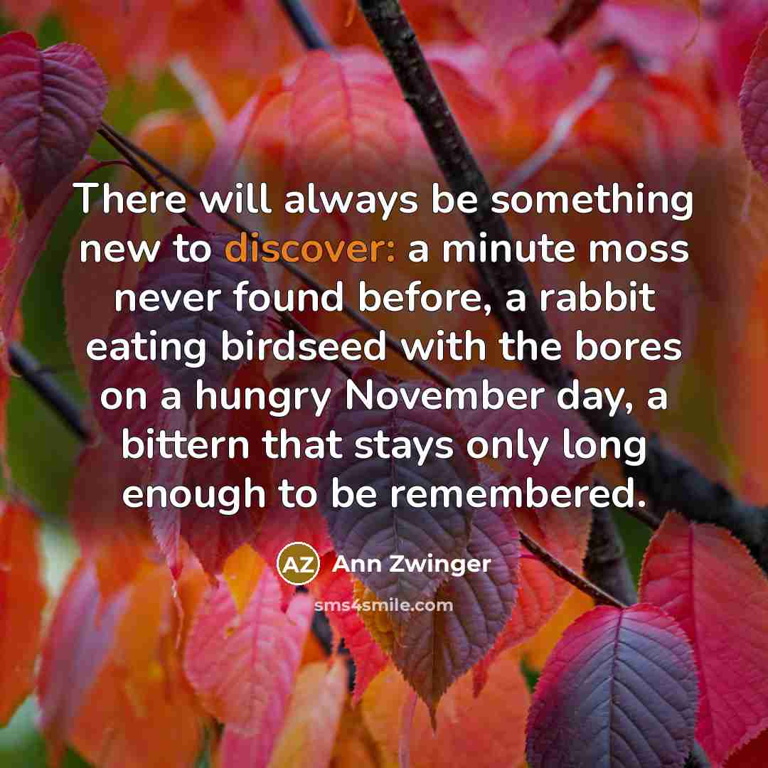 “There will always be something new to discover: a minute…” quote by Ann Zwinger