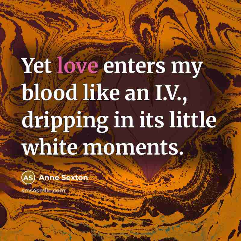 “Yet love enters my blood like an I.V., dripping in…” quote by Anne Sexton