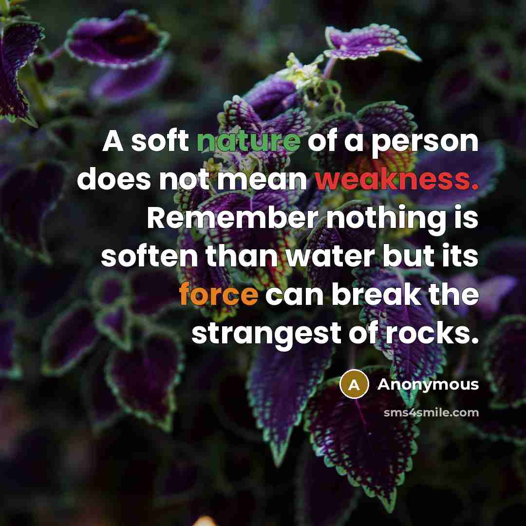 “A soft nature of a person does not mean weakness.…” quote by Anonymous