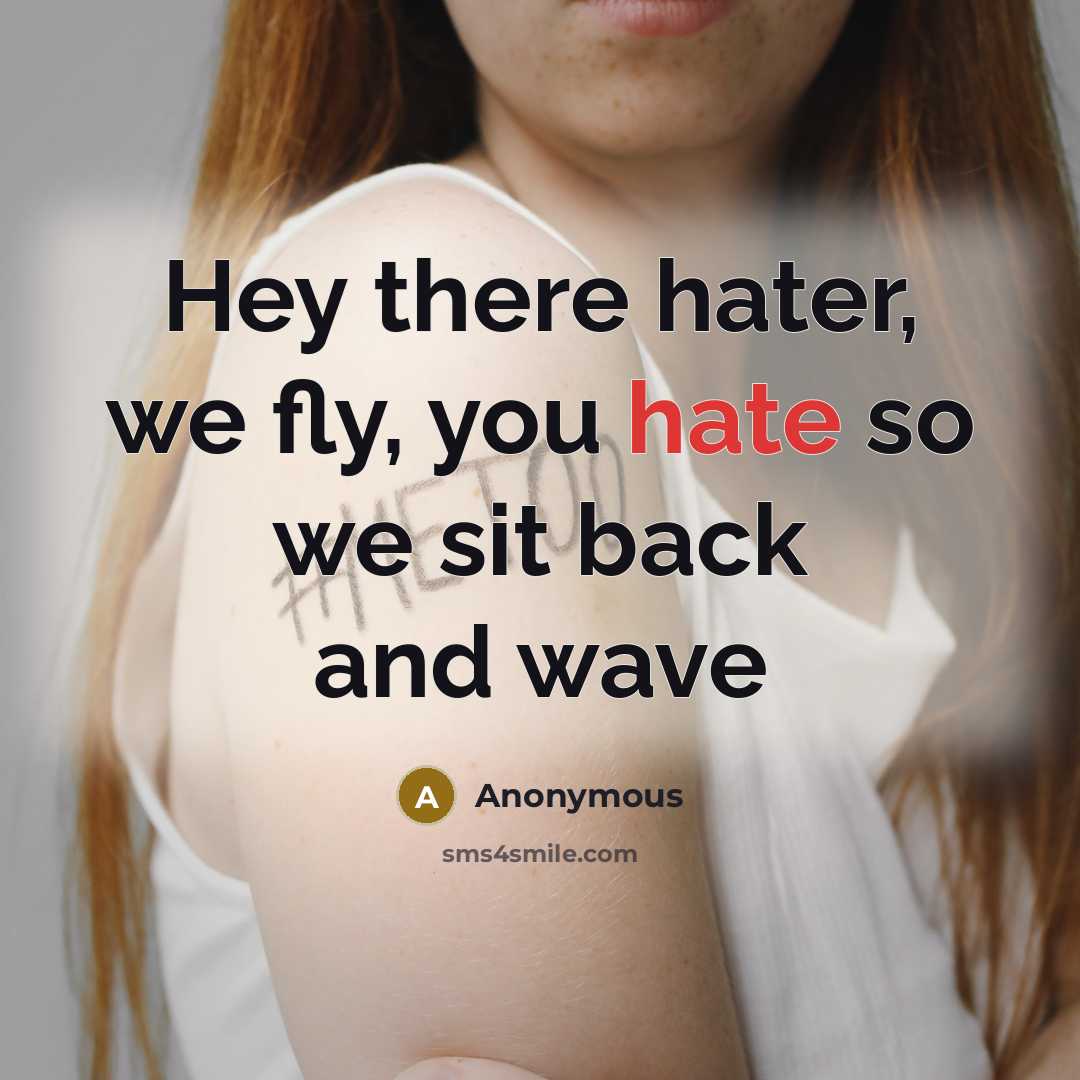 “Hey there hater, we fly, you hate so we sit back and wave” quote by Anonymous