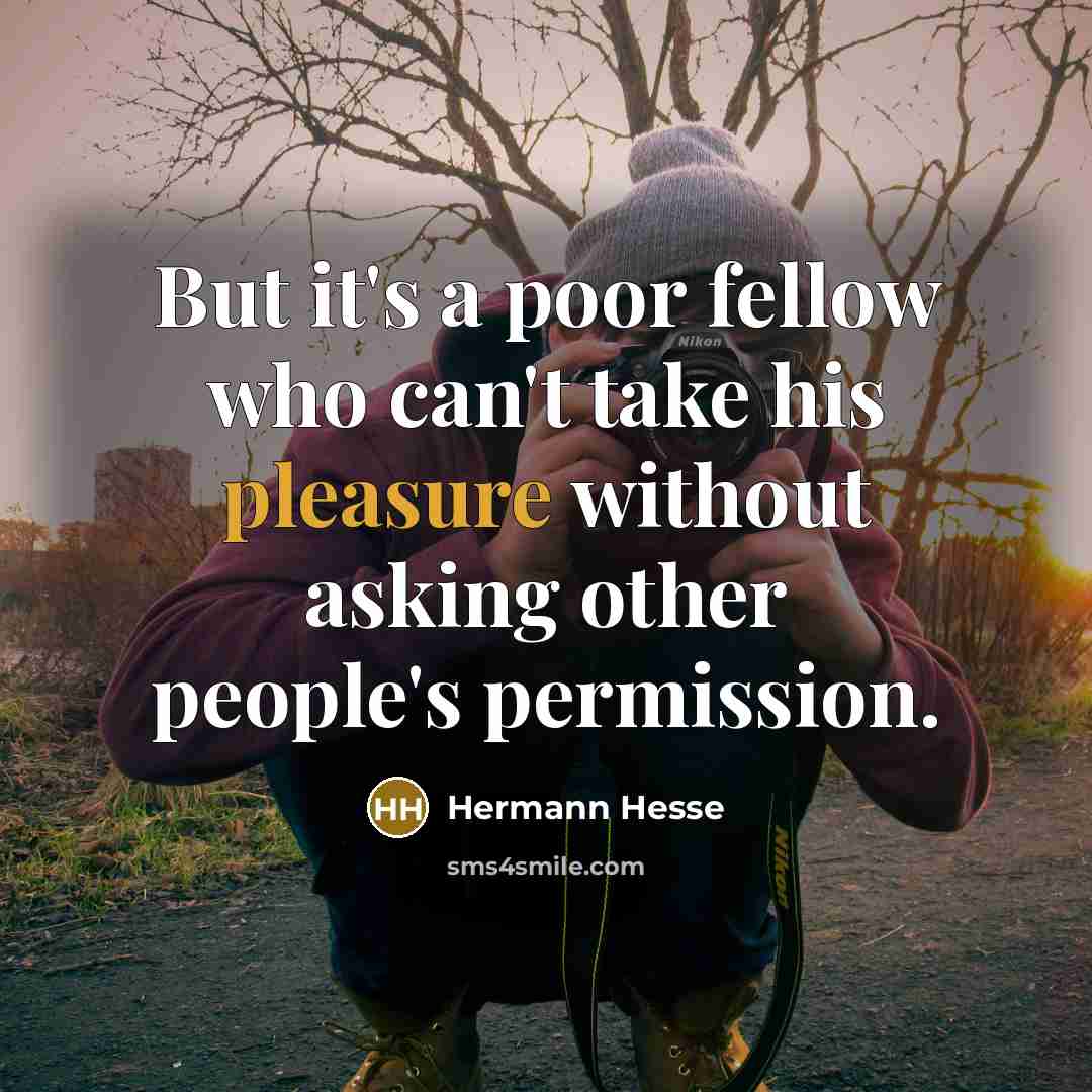 “But it's a poor fellow who can't take his pleasure…” quote by Hermann Hesse