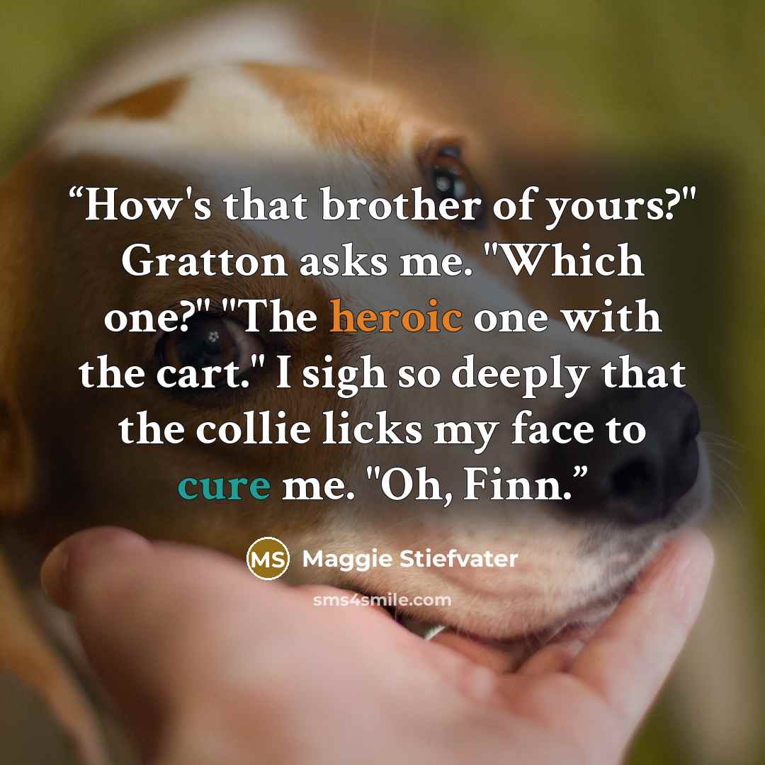“How's that brother of yours?" Gratton asks me. "Which one?" "The heroic one with the cart." I sigh so deeply that the collie licks my face to cure me. "Oh, Finn.” quote by Maggie Stiefvater