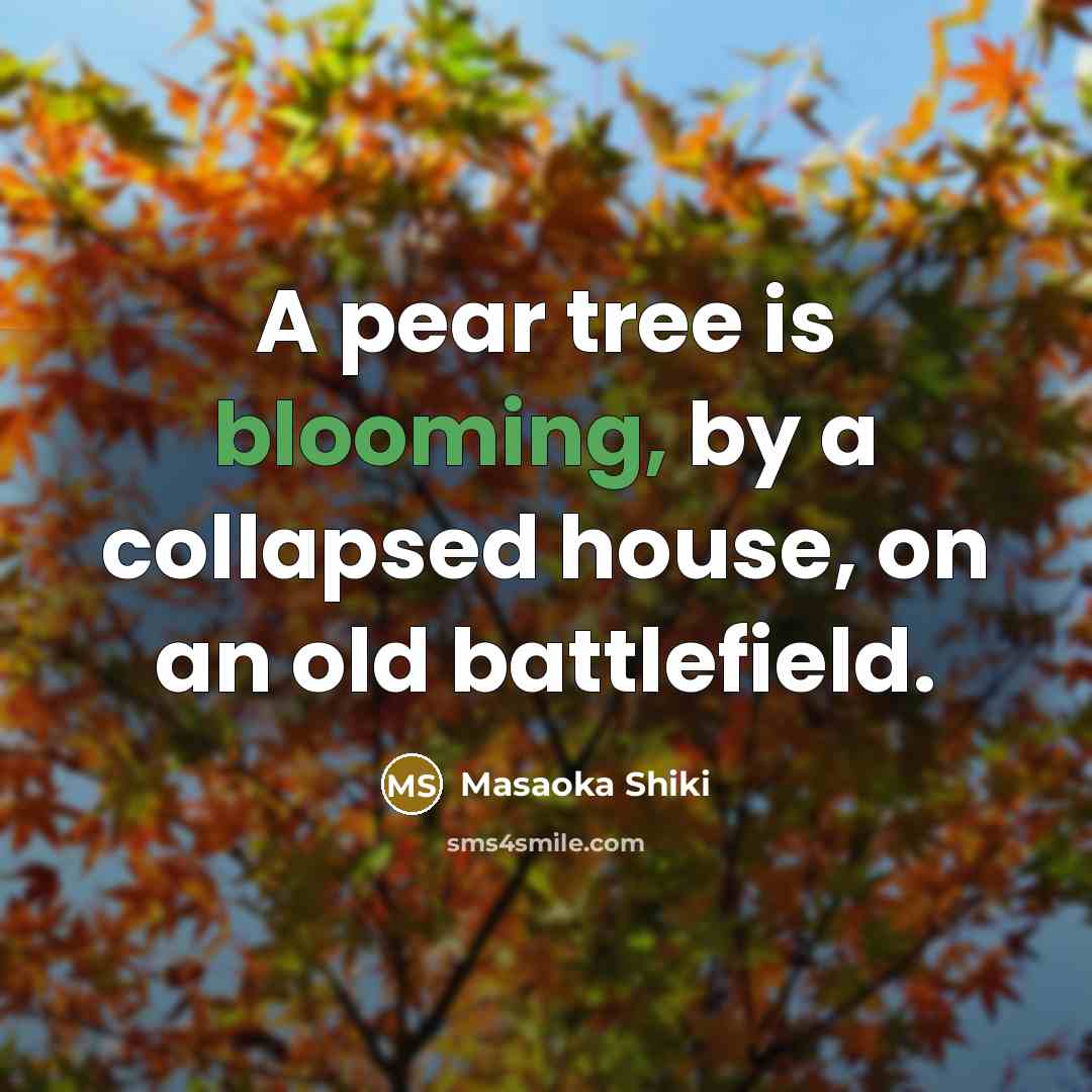 “A pear tree is blooming, by a collapsed house, on…” quote by Masaoka Shiki
