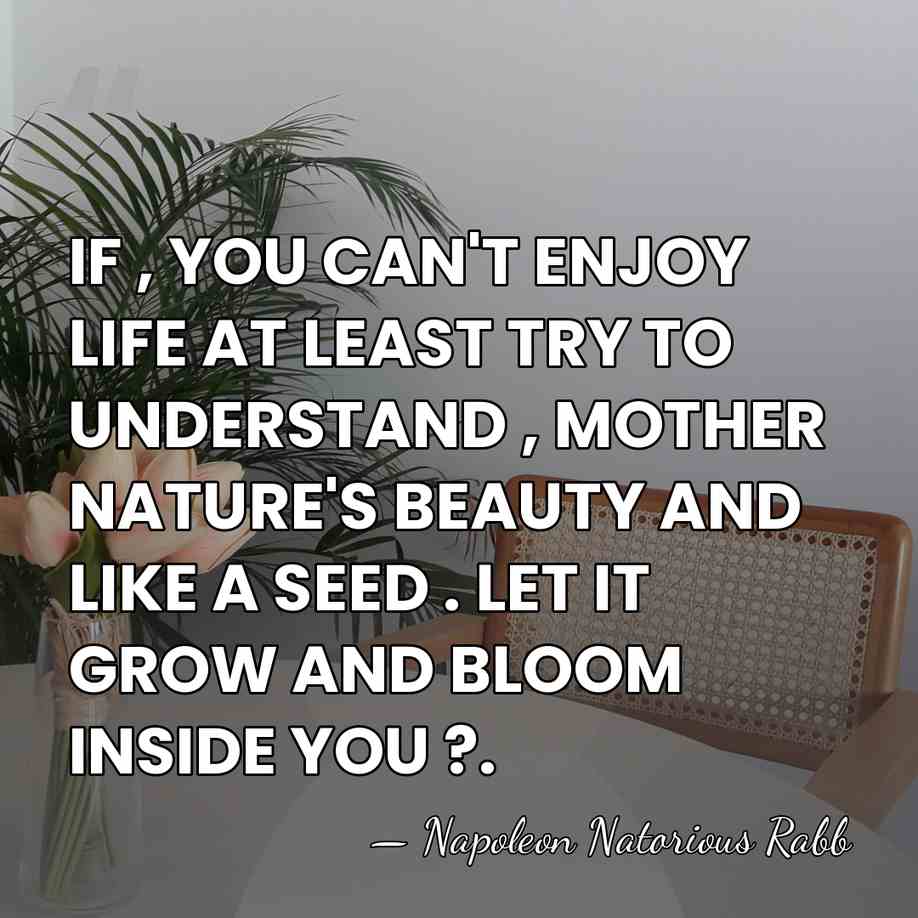 IF , YOU CAN'T ENJOY LIFE AT LEAST TRY TO UNDERSTAND ,&hellip; - Napoleon Natorious Rabb