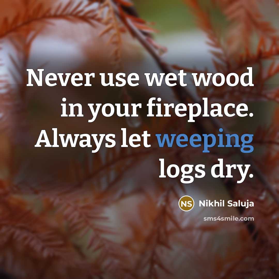 “Never use wet wood in your fireplace. Always let weeping…” quote by Nikhil Saluja