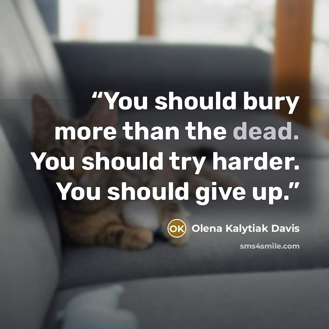 “You should bury more than the dead. You should try harder. You should give up.” quote by Olena Kalytiak Davis