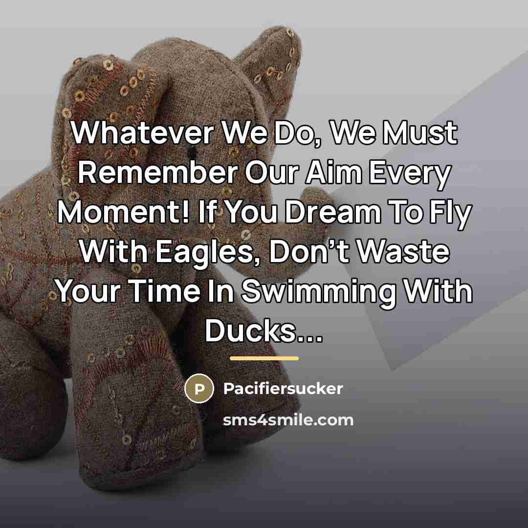 “Whatever We Do, We Must Remember Our Aim Every Moment!…” quote by Pacifiersucker