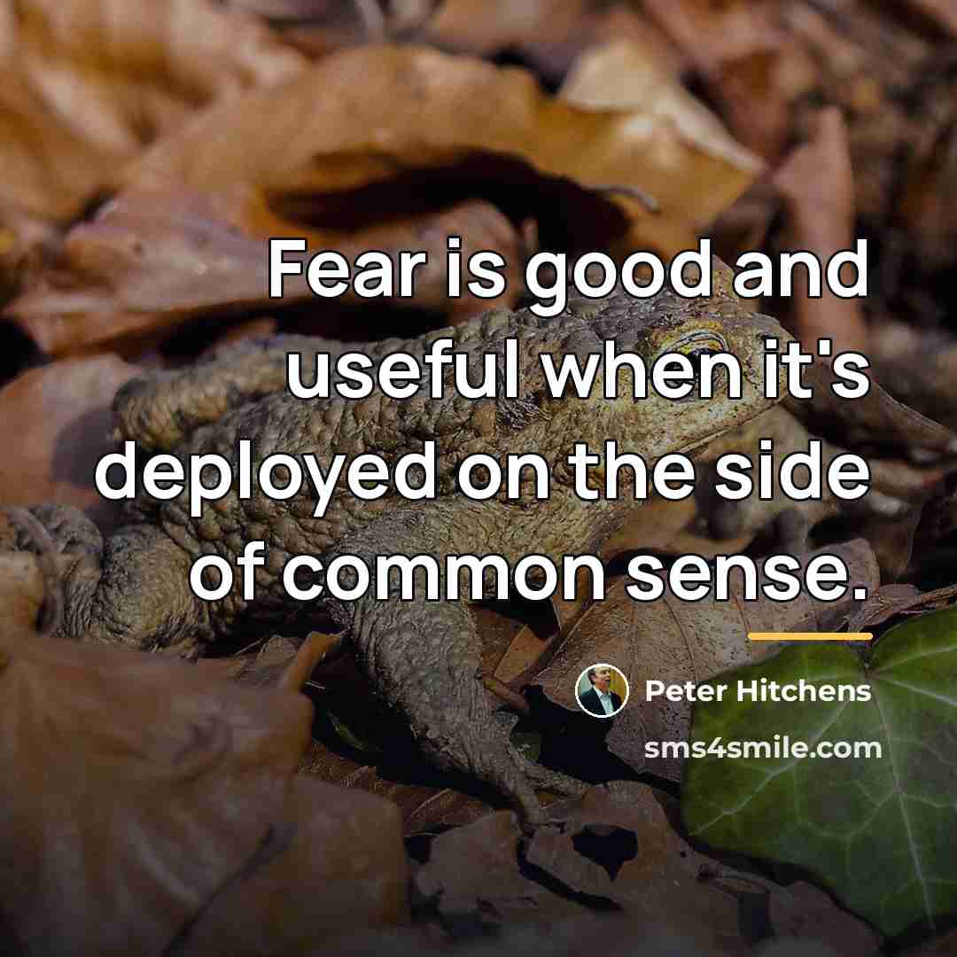 “Fear is good and useful when it's deployed on the…” quote by Peter Hitchens