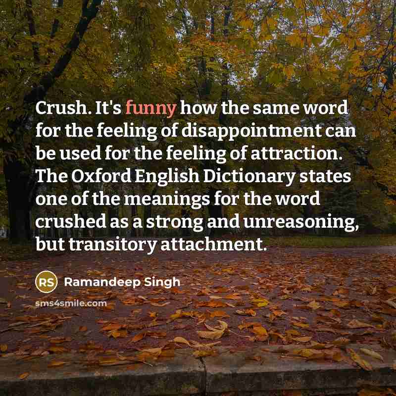 “Crush. It's funny how the same word for the feeling…” quote by Ramandeep Singh