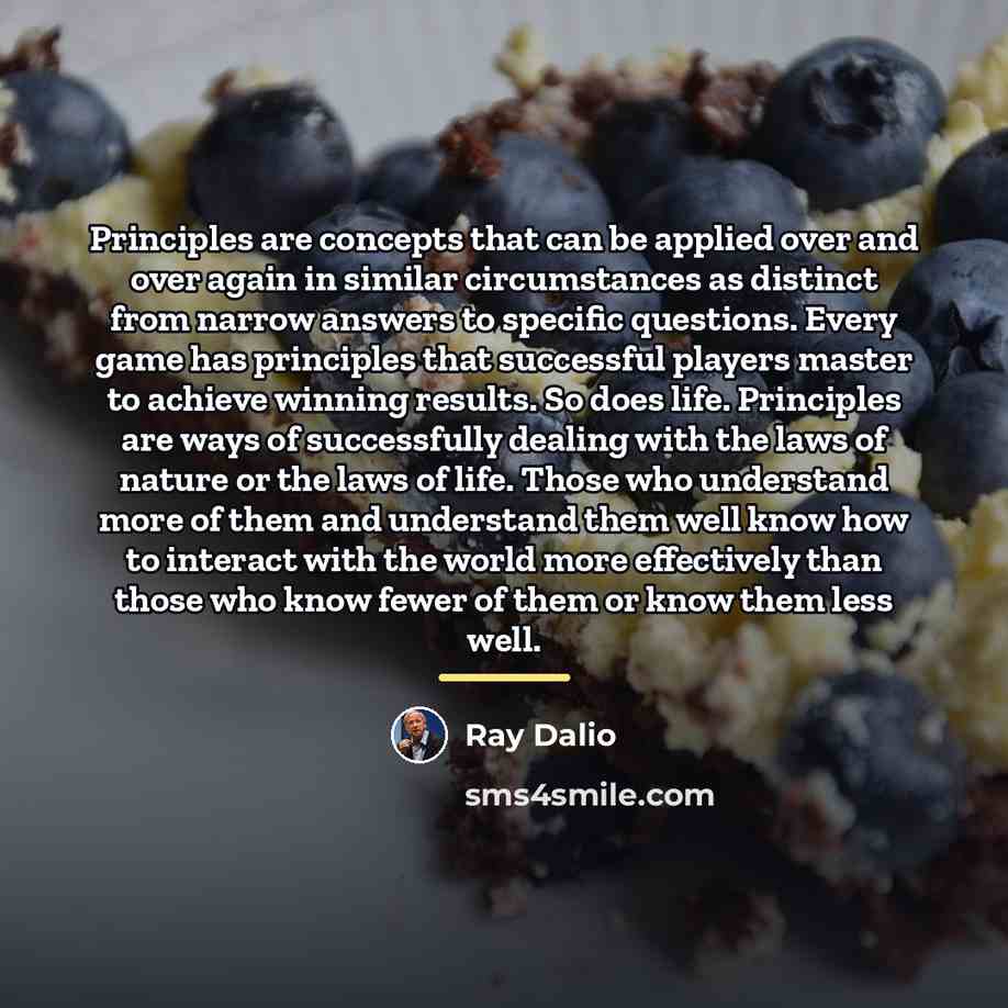 “Principles are concepts that can be applied over and over…” quote by Ray Dalio