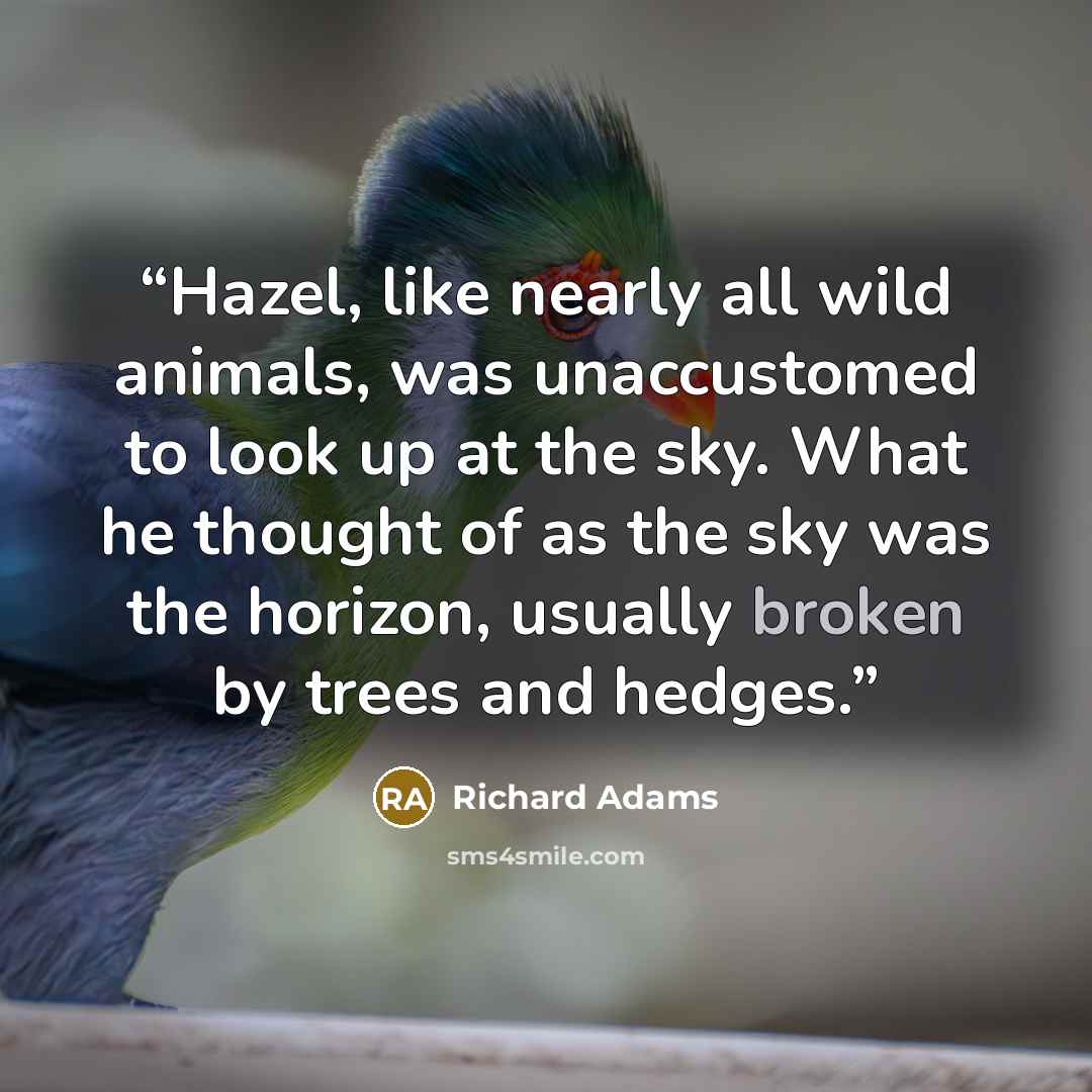 “Hazel, like nearly all wild animals, was unaccustomed to look up at the sky. What he thought of as the sky was the horizon, usually broken by trees and hedges.” quote by Richard Adams