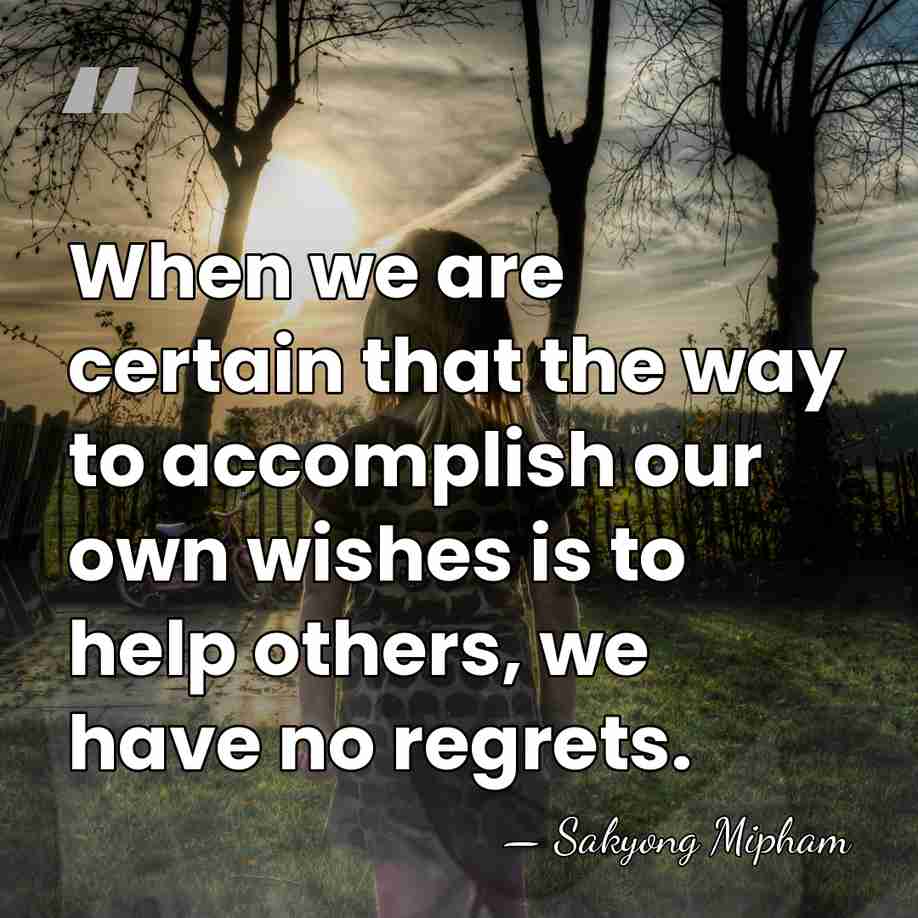 When we are certain that the way to accomplish our own wishes&hellip; - Sakyong Mipham