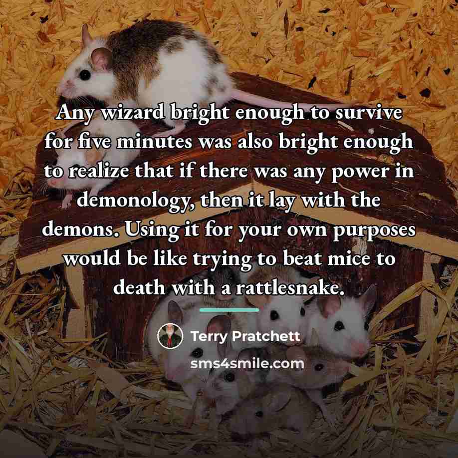 “Any wizard bright enough to survive for five minutes was…” quote by Terry Pratchett