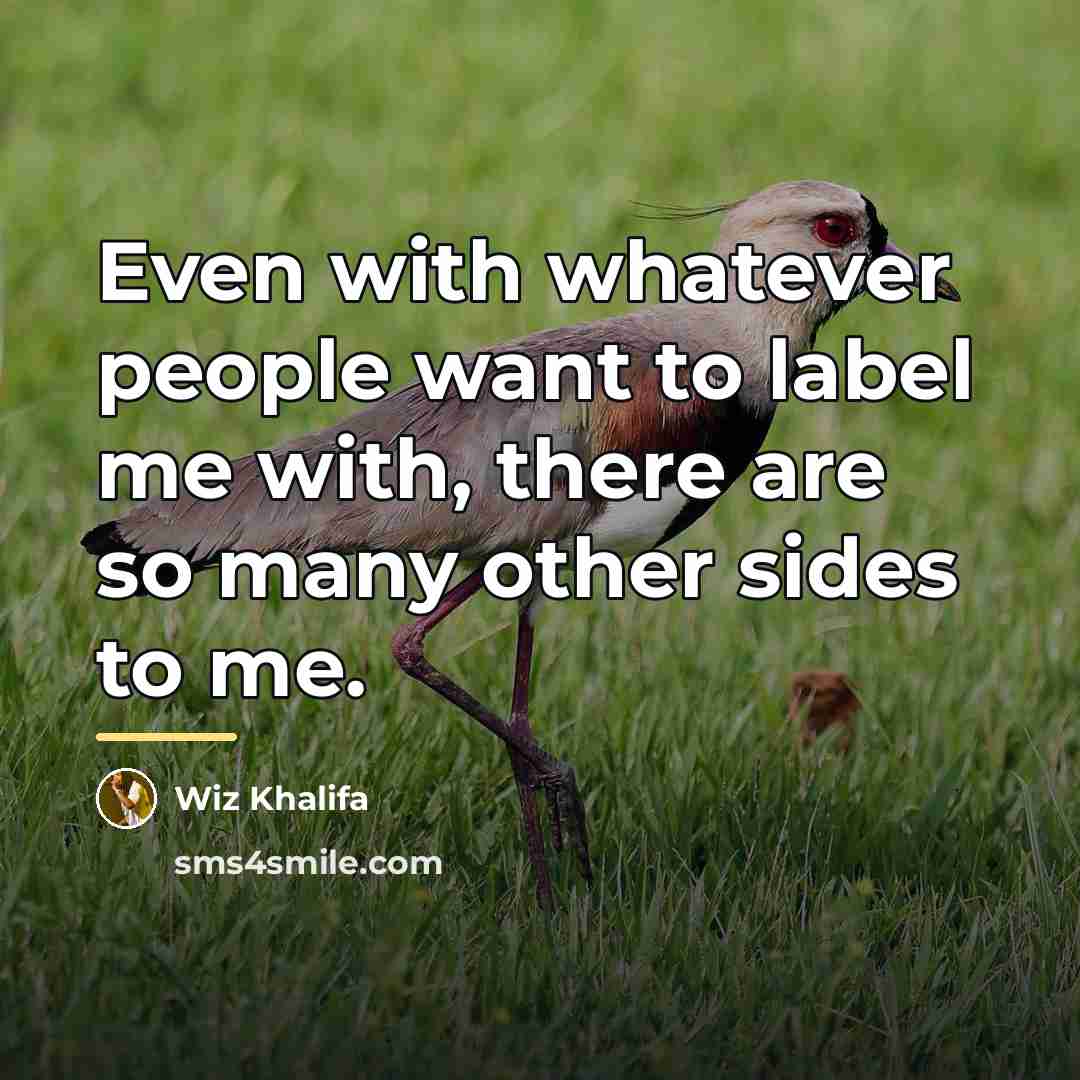 “Even with whatever people want to label me with, there…” quote by Wiz Khalifa