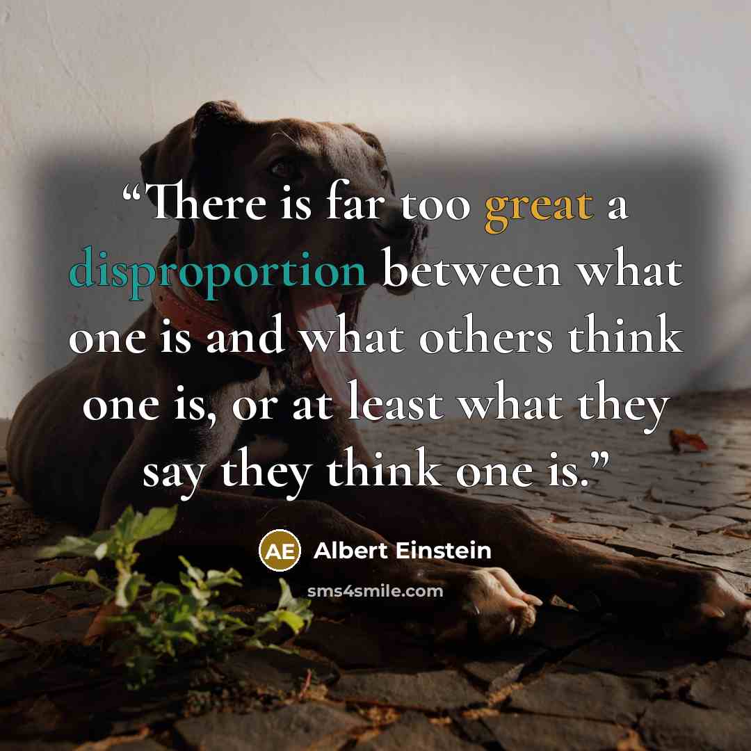 “There is far too great a disproportion between what one is and what others think one is, or at least what they say they think one is.” quote by Albert Einstein