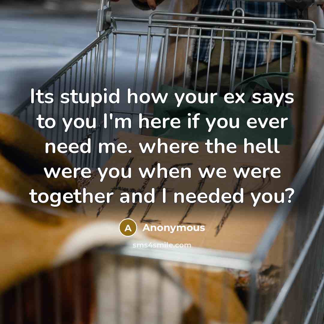 “Its stupid how your ex says to you I'm here…” quote by Anonymous