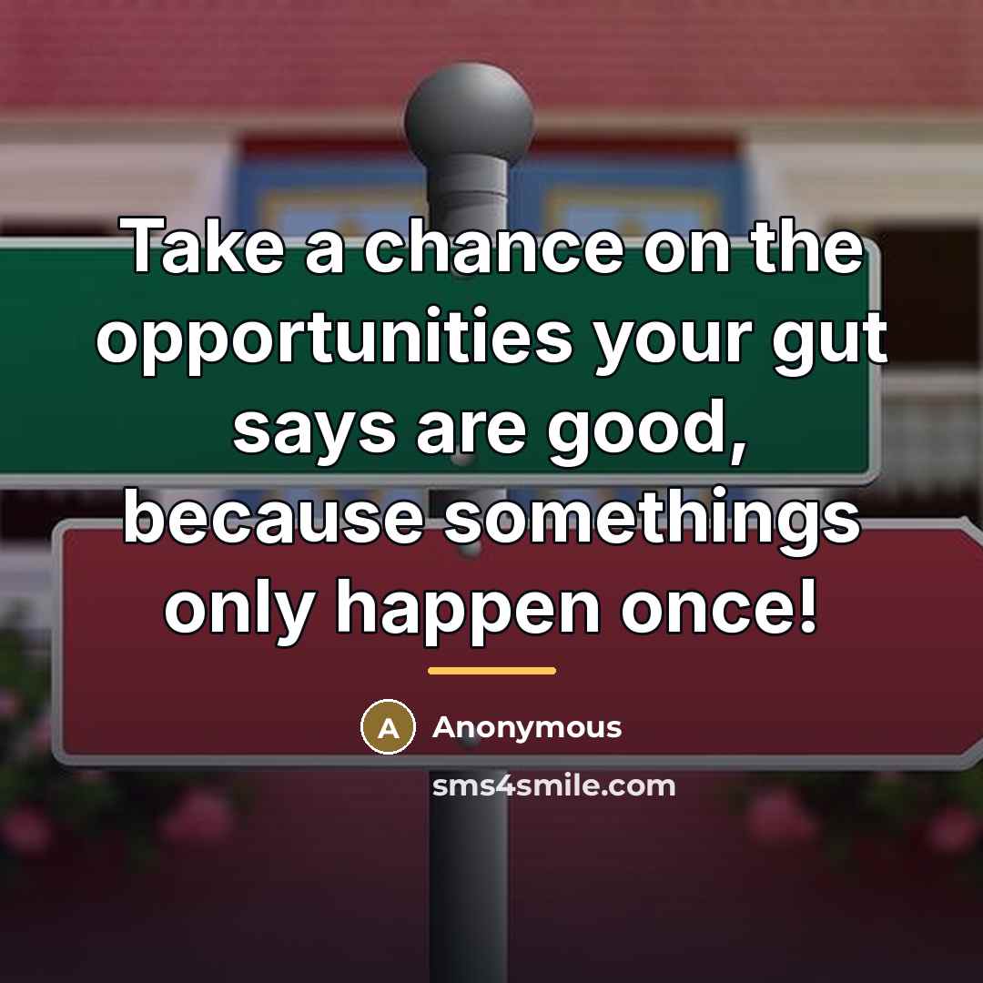“Take a chance on the opportunities your gut says are…” quote by Anonymous