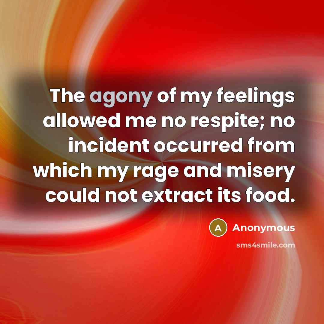 “The agony of my feelings allowed me no respite; no…” quote by Anonymous