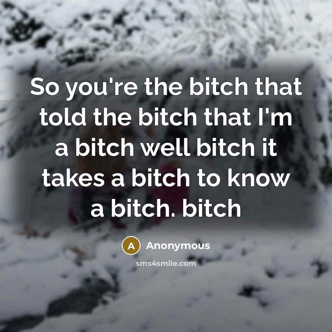 “So you're the bitch that told the bitch that I'm a bitch well bitch it takes a bitch to know a bitch. bitch” quote by Anonymous