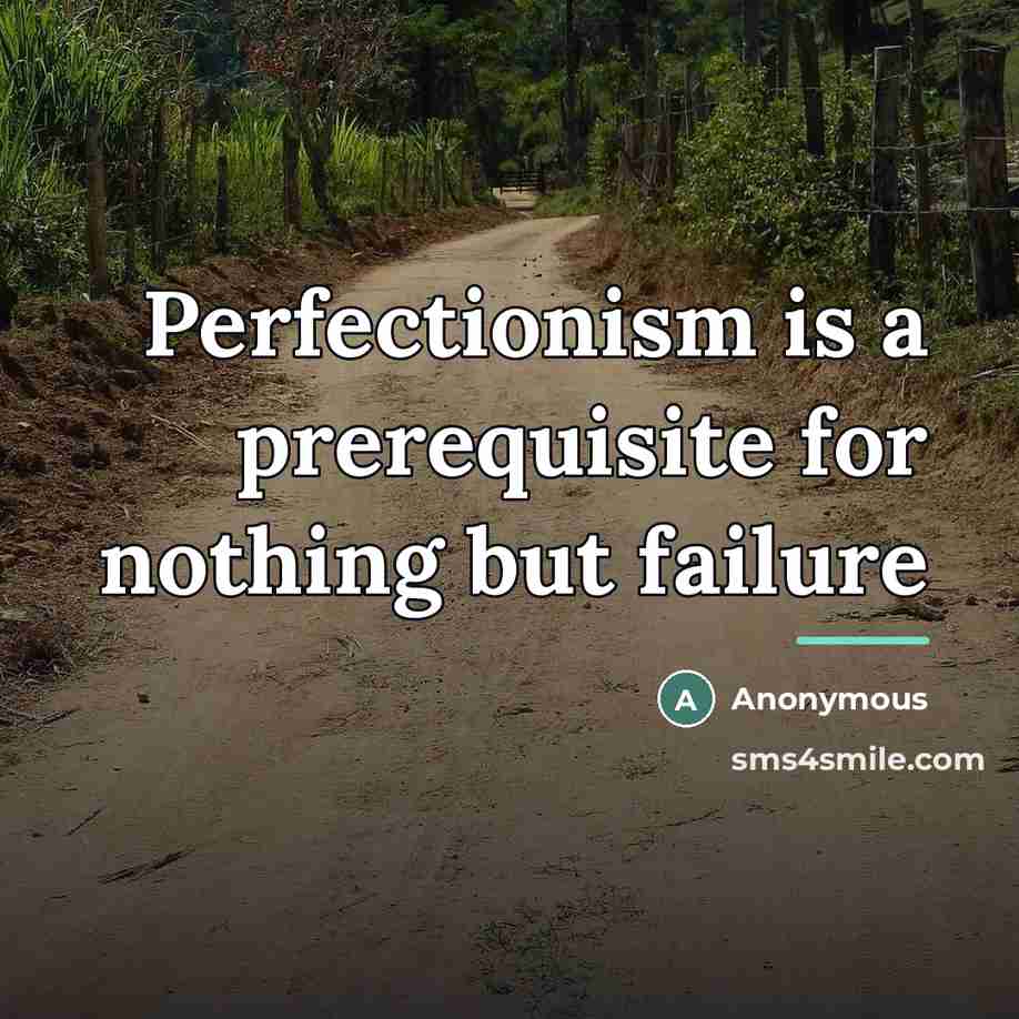 “Perfectionism is a prerequisite for nothing but failure…” quote by Anonymous
