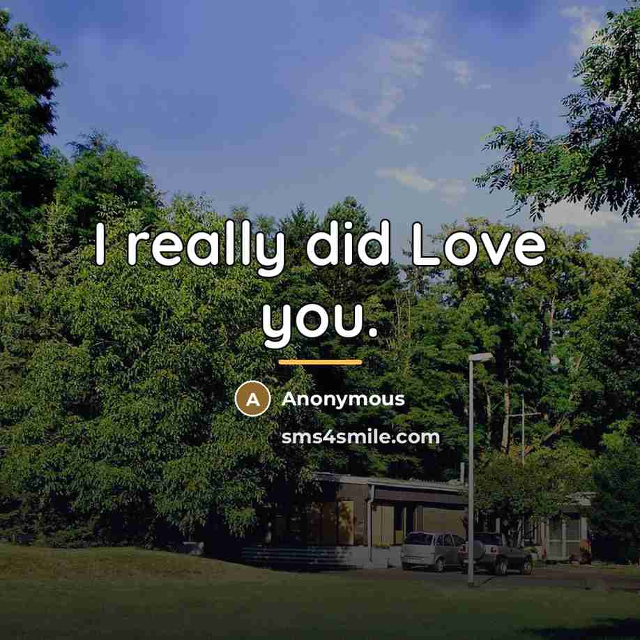 “I really did Love you.…” quote by Anonymous