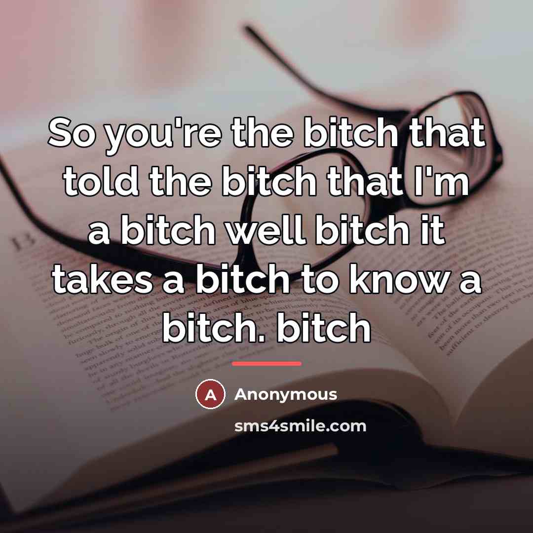 “So you're the bitch that told the bitch that I'm…” quote by Anonymous